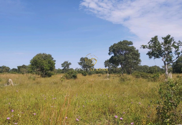 Imagem Imóvel com 3 Quartos à Venda, 1.120 m² em Zona Rural - Poconé Imagem Imóvel com 3 Quartos à Venda, 1.120 m² em Zona Rural - Poconé