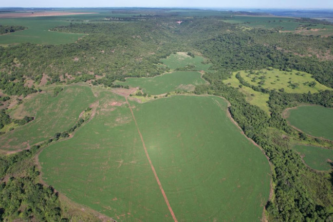 Imagem Fazenda à Venda, 160 m² em Zona Rural - Rio Verde