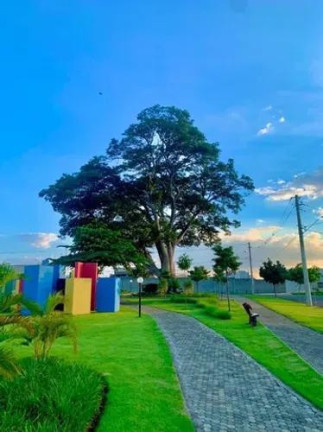 Imagem Terreno à Venda, 250 m² em Residencial Jardim Do Jatobá - Hortolândia