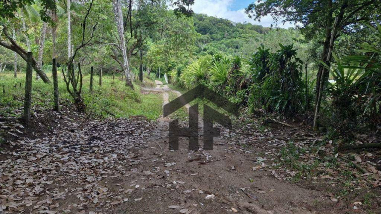 Imagem Imóvel com 3 Quartos à Venda, 5.000 m² em Guabiraba - Paulista Imagem Imóvel com 3 Quartos à Venda, 5.000 m² em Guabiraba - Paulista