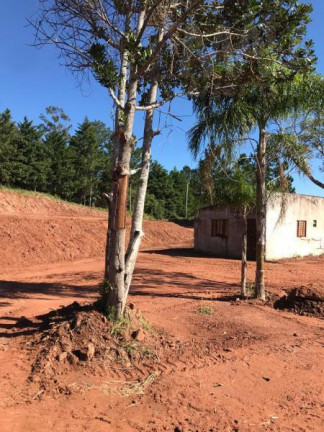 Imagem Terreno à Venda, em Lomba Grande - Novo Hamburgo Imagem Terreno à Venda, em Lomba Grande - Novo Hamburgo
