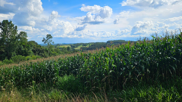 Imagem Fazenda à Venda, 36.400 m² em Zona Rural - Catanduvas Do Sul Imagem Fazenda à Venda, 36.400 m² em Zona Rural - Catanduvas Do Sul