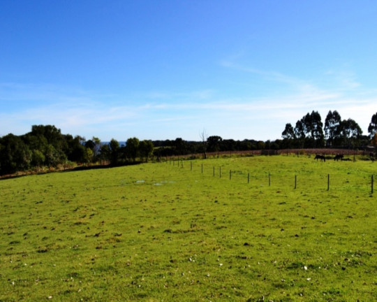 Imagem Imóvel à Venda, 4.000 m² em Linha Imperial - Nova Petrópolis