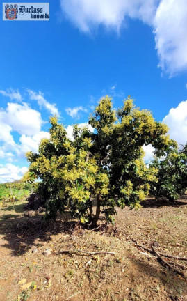Imagem Chácara com 2 Quartos à Venda, 44.500 m² em Capivari - Monte Mor Imagem Chácara com 2 Quartos à Venda, 44.500 m² em Capivari - Monte Mor