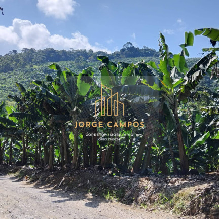 Imagem Fazenda à Venda, 125 m² em Zona Rural - Miracatu Imagem Fazenda à Venda, 125 m² em Zona Rural - Miracatu