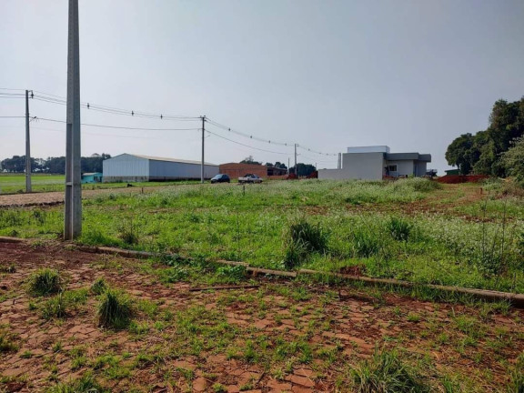 Terreno à Venda, 325 m² em Centro - Quinze De Novembro