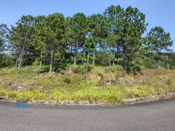 Imagem Terreno à Venda, 747 m² em Itacorubi - Florianópolis
