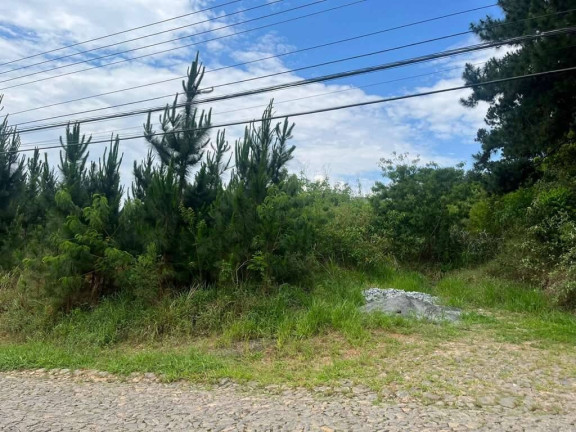 Imagem Terreno à Venda, 4 m² em Paisagem Renoir - Cotia Imagem Terreno à Venda, 4 m² em Paisagem Renoir - Cotia