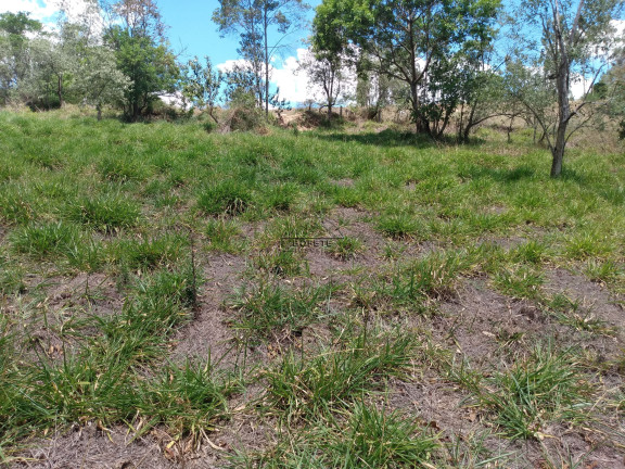 Imagem Imóvel à Venda, 48.000 m² em São Marcos - Bofete