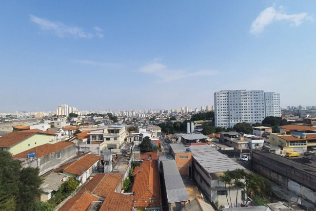 Imagem Apartamento com 3 Quartos à Venda, 79 m² em Casa Verde Alta - São Paulo
