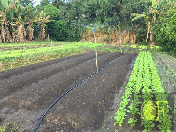 Imagem Fazenda à Venda, 27 m² em Avare - Avaré
