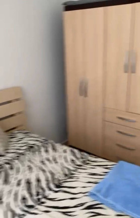 Imagem Apartamento com 2 Quartos para Alugar, 60 m² em Gonzaga - Santos Imagem Apartamento com 2 Quartos para Alugar, 60 m² em Gonzaga - Santos
