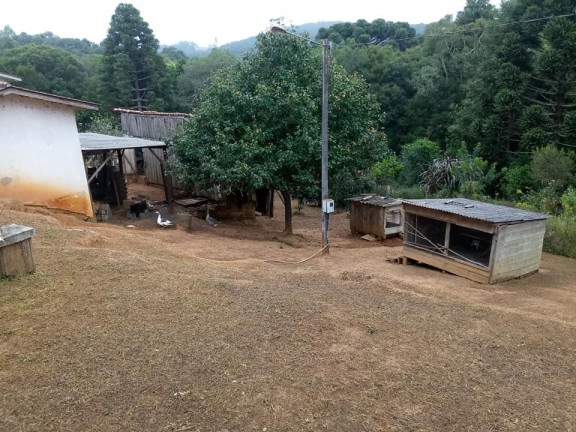 Imagem Imóvel à Venda, 77.000 m² em Barigui - Araucária Imagem Imóvel à Venda, 77.000 m² em Barigui - Araucária