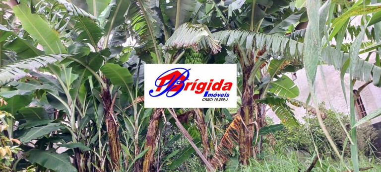 Imagem Terreno à Venda, 250 m² em Parque Sao George - Cotia Imagem Terreno à Venda, 250 m² em Parque Sao George - Cotia