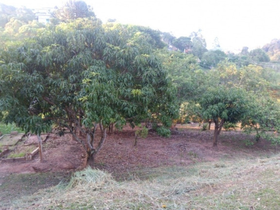 Imagem Chácara com 3 Quartos à Venda, 12.000 m² em Pq São Jorge - Santa Branca