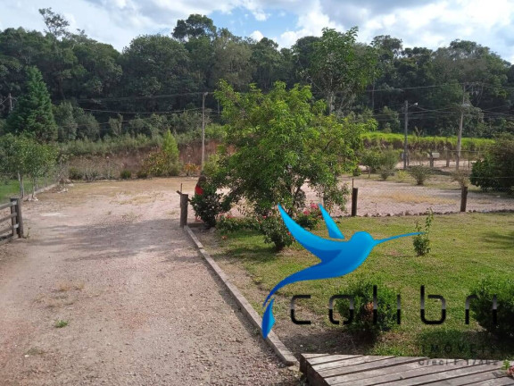 Imagem Chácara com 5 Quartos à Venda, 4.840 m² em Pedra Branca - Agudos Do Sul Imagem Chácara com 5 Quartos à Venda, 4.840 m² em Pedra Branca - Agudos Do Sul