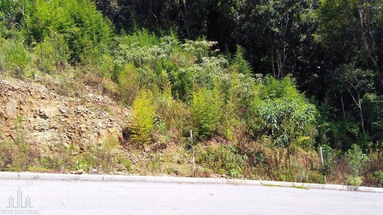 Terreno à Venda, 540 m² em Santo Antão - Bento Gonçalves