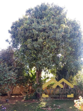 Imagem Sobrado com 3 Quartos à Venda, 540 m² em Centro - Jundiaí Imagem Sobrado com 3 Quartos à Venda, 540 m² em Centro - Jundiaí