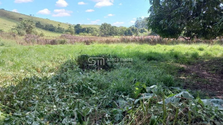 Imagem Imóvel com 4 Quartos à Venda, 12.000 m² em Pedroso - Lorena Imagem Imóvel com 4 Quartos à Venda, 12.000 m² em Pedroso - Lorena