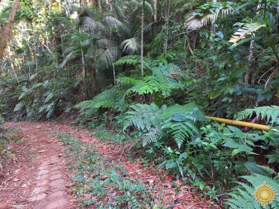 Imagem Terreno à Venda, 1.169 m² em Praia Brava - Ubatuba Imagem Terreno à Venda, 1.169 m² em Praia Brava - Ubatuba