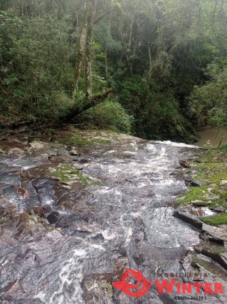 Imagem Chácara à Venda, 56 m² em Linha Nova Baixa - Presidente Lucena Imagem Chácara à Venda, 56 m² em Linha Nova Baixa - Presidente Lucena