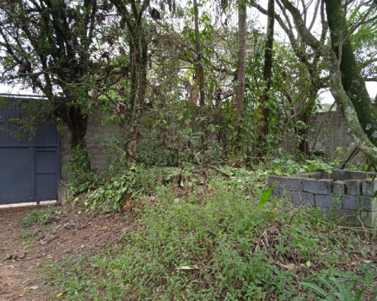 Imagem Imóvel à Venda, 18 m² em Chácara Santa Etelvina - São Paulo Imagem Imóvel à Venda, 18 m² em Chácara Santa Etelvina - São Paulo