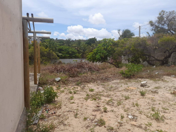 Imagem Terreno à Venda, 1.029 m² em Praia Da Pipa - Tibau Do Sul Imagem Terreno à Venda, 1.029 m² em Praia Da Pipa - Tibau Do Sul