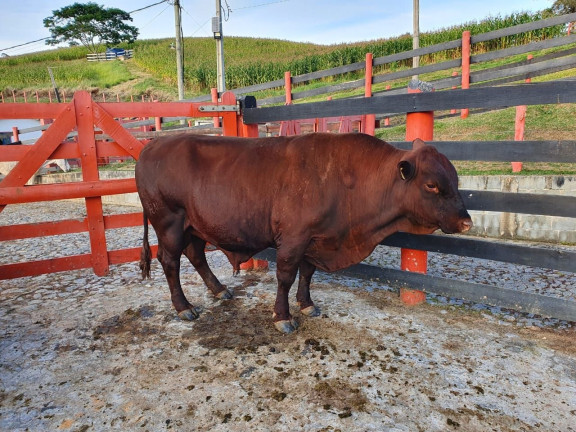 Imagem Fazenda à Venda, 115 m² em Centro - Paraibuna Imagem Fazenda à Venda, 115 m² em Centro - Paraibuna