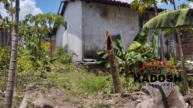 Imagem Terreno à Venda, 200 m² em Muchila - Feira De Santana Imagem Terreno à Venda, 200 m² em Muchila - Feira De Santana