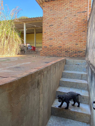 Imagem Casa à Venda, 307 m² em Centro - São Manuel Imagem Casa à Venda, 307 m² em Centro - São Manuel