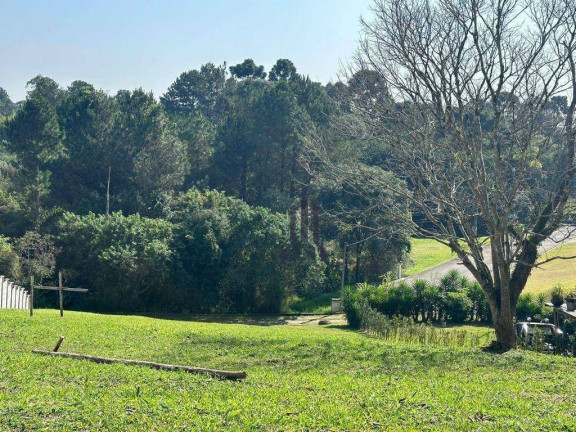 Imagem Terreno à Venda, 1.000 m² em Vila Torres - Campo Largo