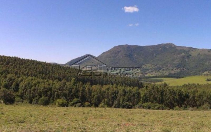 Imóvel à Venda, 280.000 m² em Caldas - Caldas