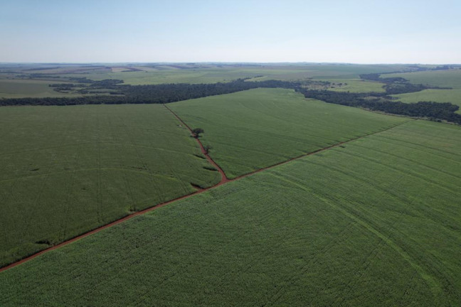 Imagem Fazenda à Venda, 540 m² em Zona Rural - Munhoz De Melo