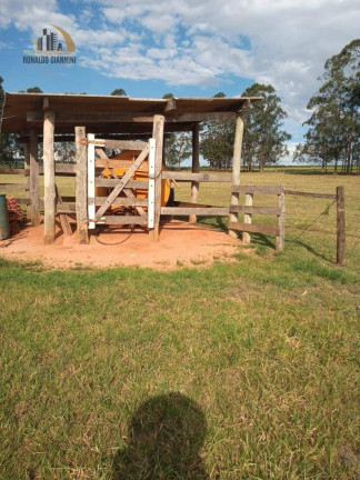 Imagem Fazenda à Venda, 15.294.400 m² em Centro - Assis Imagem Fazenda à Venda, 15.294.400 m² em Centro - Assis