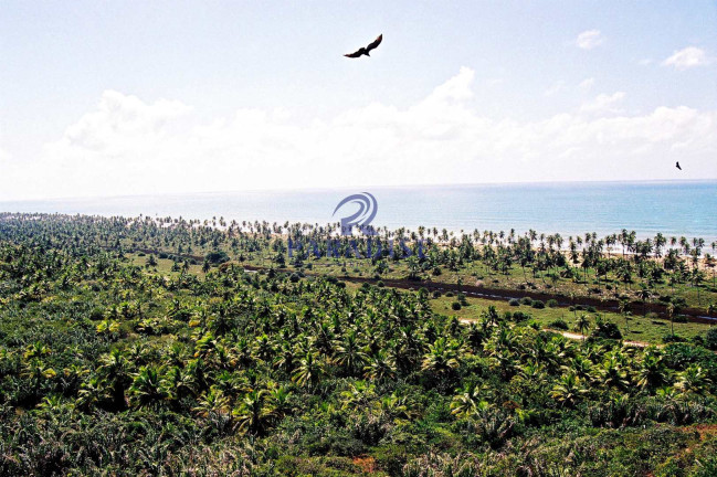 Imagem Terreno à Venda, 6.000.000 m² em Barra Do Itariri - Conde Imagem Terreno à Venda, 6.000.000 m² em Barra Do Itariri - Conde