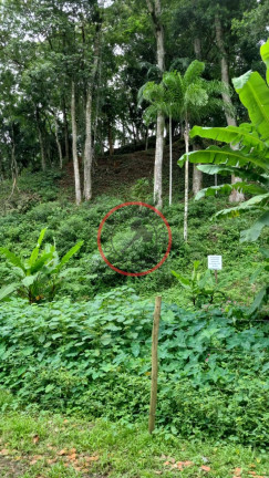 Imagem Terreno à Venda, 411 m² em Boiçucanga - São Sebastião Imagem Terreno à Venda, 411 m² em Boiçucanga - São Sebastião