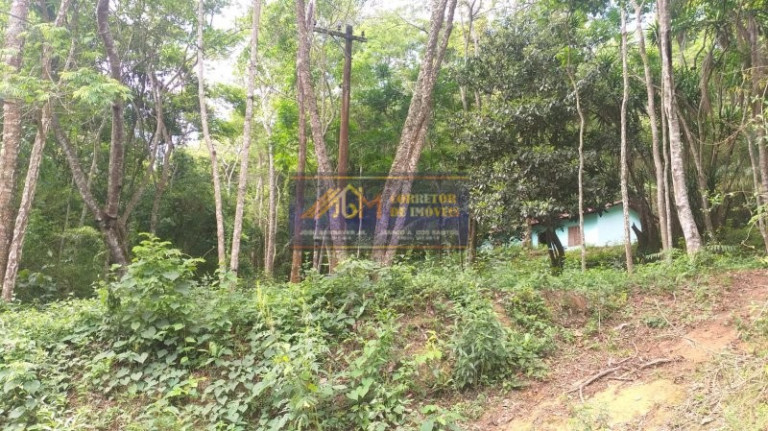 Imagem Imóvel com 8 Quartos à Venda, 411.400 m² em Bananal - Cabreúva