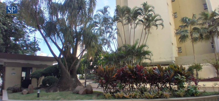 Imagem Apartamento com 3 Quartos à Venda, 102 m² em Cambuí - Campinas Imagem Apartamento com 3 Quartos à Venda, 102 m² em Cambuí - Campinas