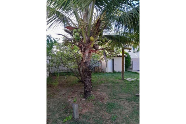 Imagem Casa com 3 Quartos à Venda, 200 m² em Entre Rios - Entre Rios