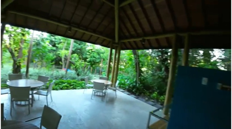 Imagem Terreno à Venda, 700 m² em Praia Do Forte - Mata De São João Imagem Terreno à Venda, 700 m² em Praia Do Forte - Mata De São João