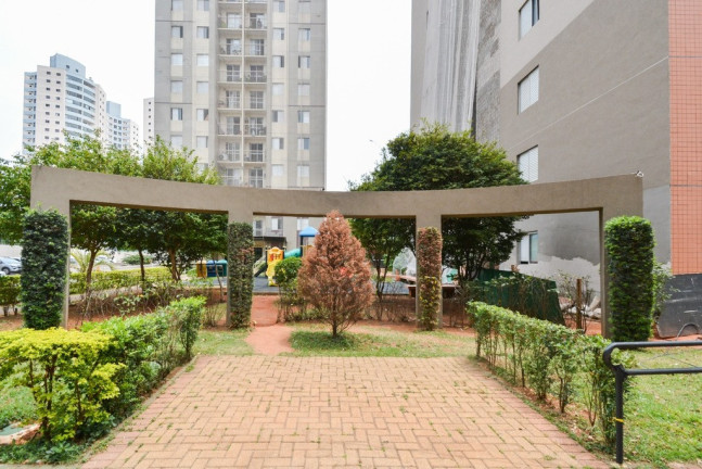 Imagem Imóvel com 3 Quartos à Venda, 64 m² em Cambuci - São Paulo