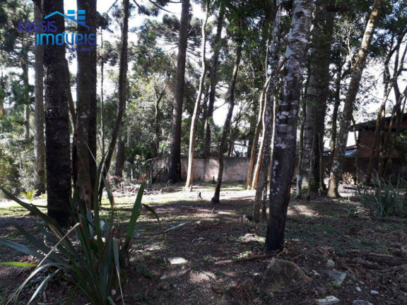 Imagem Terreno à Venda, 658 m² em Canguiri - Colombo