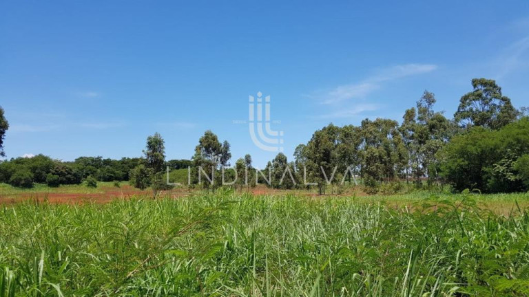 Imagem Terreno à Venda, 20.000 m² em Polo Centro - Foz Do Iguacu