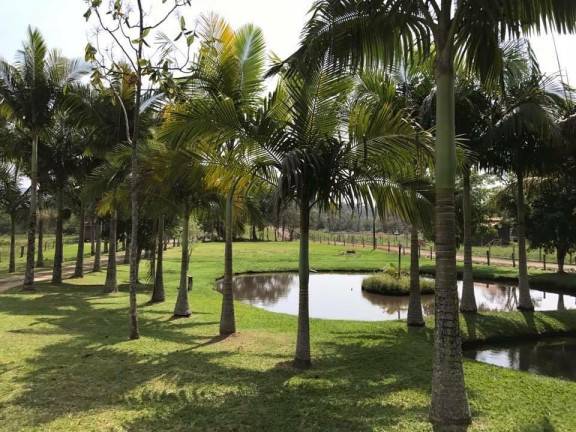 Imóvel à Venda, 200 m² em área Rural De Camboriú - Camboriú