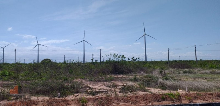 Imagem Imóvel à Venda, 420 m² em Canoa Quebrada - Aracati
