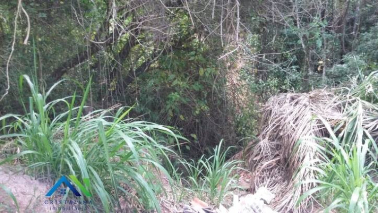 Imagem Terreno à Venda, 1.439 m² em Estância São Paulo - Campo Limpo Paulista Imagem Terreno à Venda, 1.439 m² em Estância São Paulo - Campo Limpo Paulista