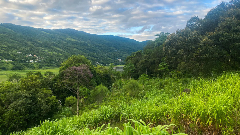 Imagem Terreno à Venda, 1.000 m² em Macacu - Garopaba Imagem Terreno à Venda, 1.000 m² em Macacu - Garopaba