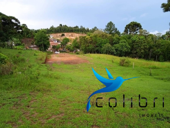 Imagem Terreno à Venda, 3.785 m² em Pinheiro Ocado - Agudos Do Sul