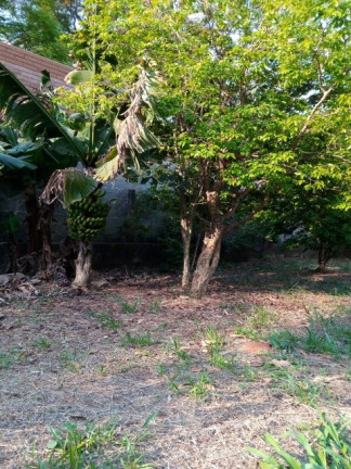 Imagem Chácara com 2 Quartos para Alugar ou Temporada, 1.512 m² em Jardim Tarantela - Jundiaí Imagem Chácara com 2 Quartos para Alugar ou Temporada, 1.512 m² em Jardim Tarantela - Jundiaí