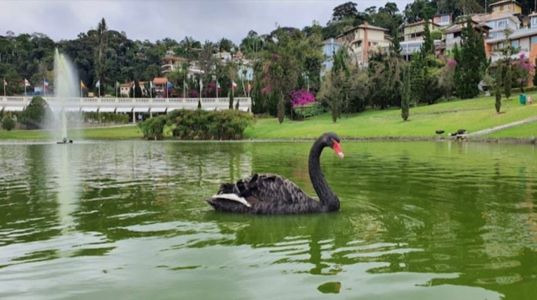 Imagem Terreno à Venda, 409 m² em Vargem Grande - Teresópolis Imagem Terreno à Venda, 409 m² em Vargem Grande - Teresópolis